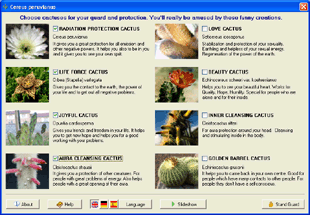 Screenshot of Cactus Emulator