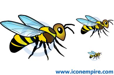Bee Bee