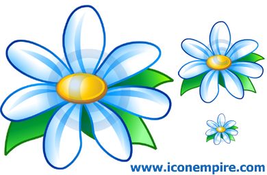 Flower Flower