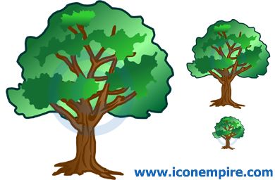 Tree Tree
