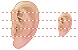 Ear icon Ear icons