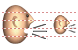 Speech icon Speech icons