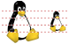Linux penguin icons